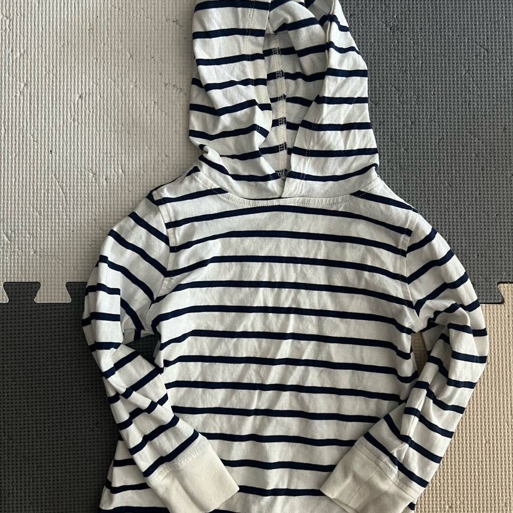 Crewcuts Navy and White Striped Hoodie